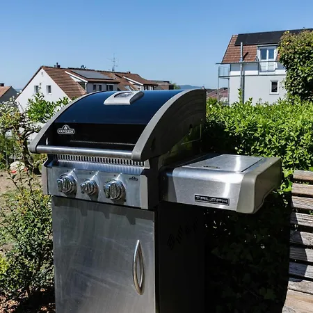 Neu! Bodenseeblick Mit Seeblick, Sauna Und Eigener Terrasse Apartamento *